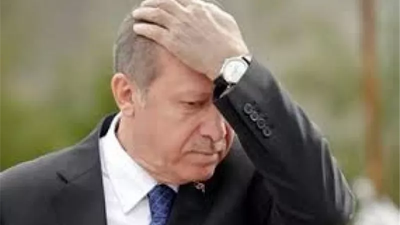 بعد أن طالبه بإعادة ثرواته للبلاد..أردوغان يقاضي معارض تركي بارز