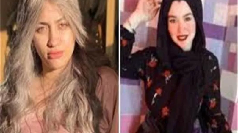 ”الجنايات” تؤيد قرار التحفظ على أموال حنين حسام ومودة الأدهم