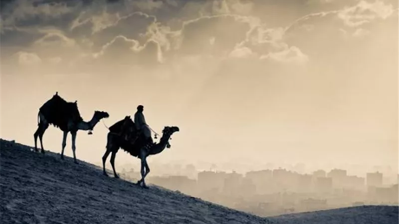 في ذكرى الهجرة..ماذا قال «البحوث الإسلامية» عن مواقف الصديق مع الرسول ؟