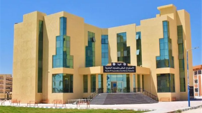 بلغت تكلفتها 13 مليار جنيه .. تعرف على مشروعات التعليم العالي في سيناء