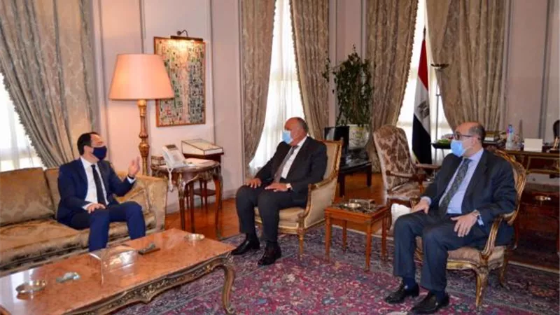 شكرى يبحث مع نظيره القبرصى تطورات الأوضاع بالمنطقة