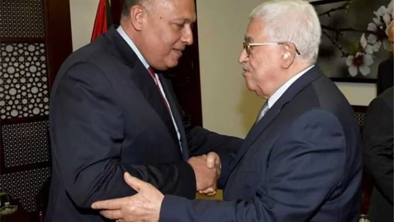 تفاصيل مباحثات وزير الخارجية مع الرئيس الفلسطينى