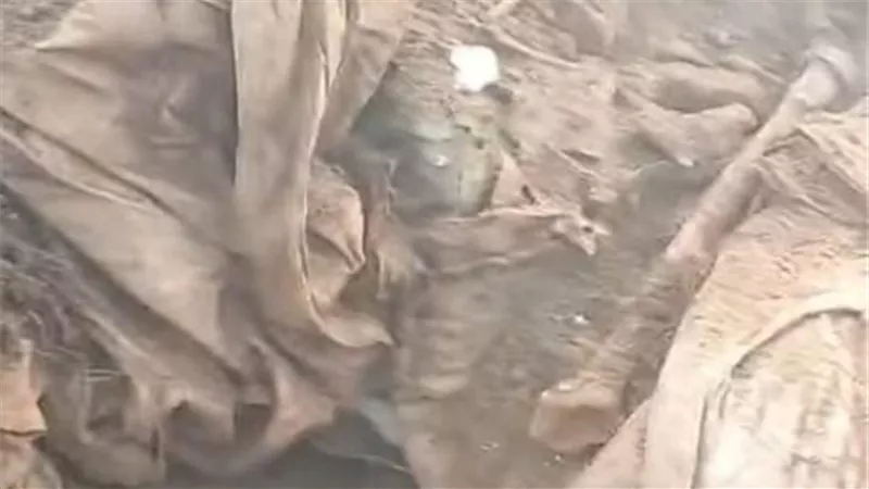 القبض على المتهم بإلقاء جماجم بشرية أسفل الطريق الحر بقليوب