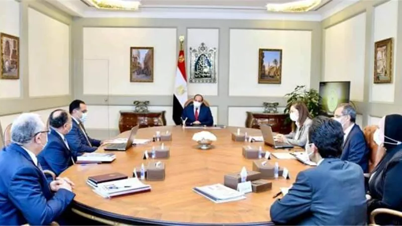 عاجل ..السيسي يكلف الحكومة