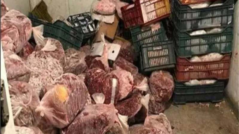 صور وفيديو.. محافظة الجيزة تضبط لحوم ودواجن وكبدة فاسدة بالهرم والطالبية وأبو النمرس