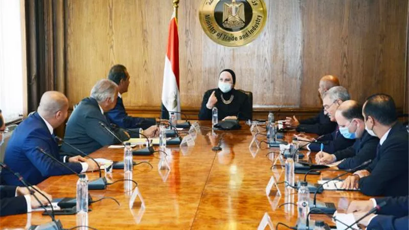 وزيرة التجارة والصناعة: جارى إعادة تشكيل مجلس الأعمال المصرى السودانى المشترك