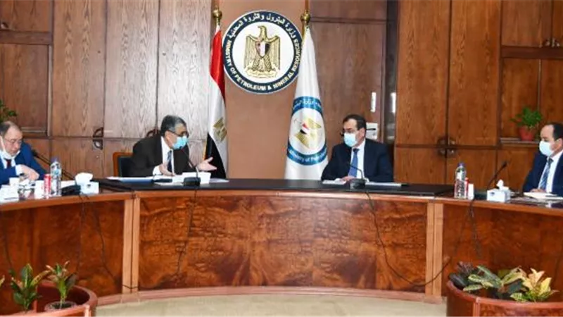 الحكومة تبحث توفير احتياجات محطات الكهرباء من الغاز والوقود