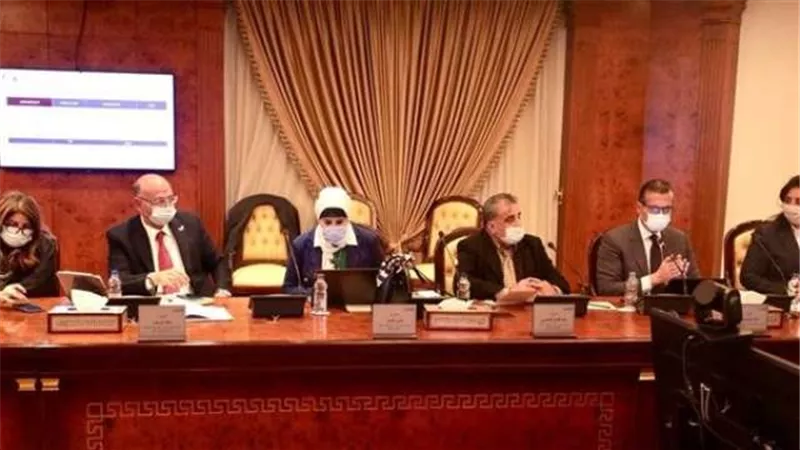 وزيرا السياحة والاتصالات يبحثان رفع كفاءة سرعات الإنترنت بالمنشآت الفندقية