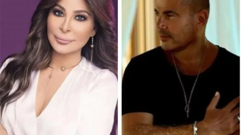 عمرو دياب وإليسا.. أبرز الحفلات الغنائية فى عيد الحب