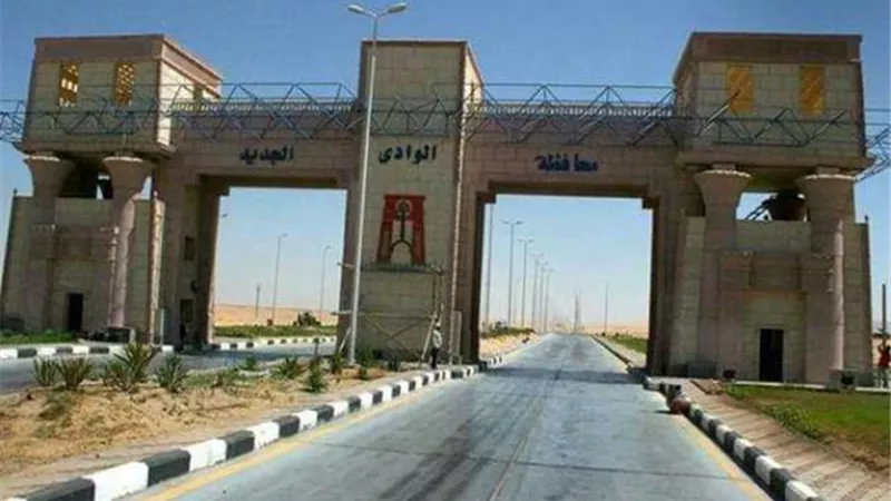 التفتيش على 233 منشأة بالوادي الجديد.. اعرف السبب