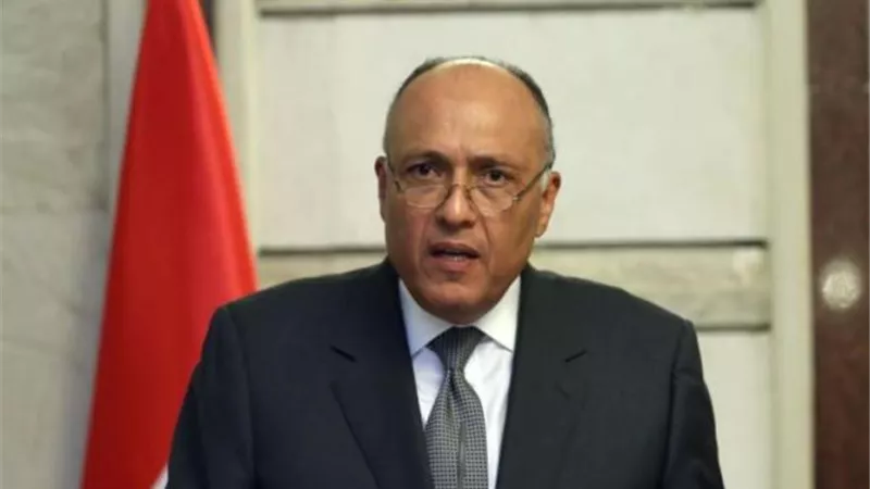 تفاصيل مباحثات شكرى مع نظيره الأوكرانى