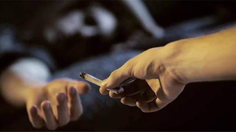 الحشيش في المرتبة الأولى.. بالأرقام.. تعرف على خريطة المدمنين في محافطات مصر