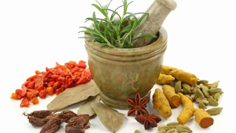 أعشاب تساعد على علاج الأنيميا.. فما هي؟