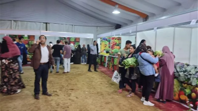 صور وفيديو.. 3 منافذ جديدة لبيع الخضراوات والفاكهة بأسعار مخفضة بالجيزة