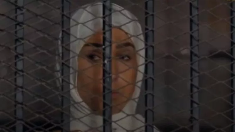 نجمة التريند.. بعد القبض عليها بالحلقة 25 من ”انحراف” روجينا مطلوبة على جوجل