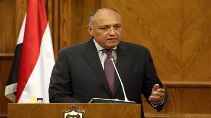 شكري يطالب بسياية عربية موحدة لردع النظام التركي