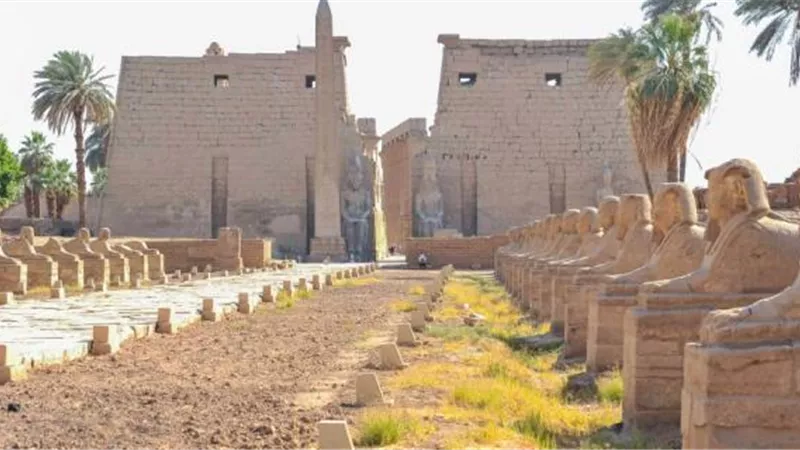 وزير الآثار يتفقد مشروع ترميم الكباش بمعبد الكرنك