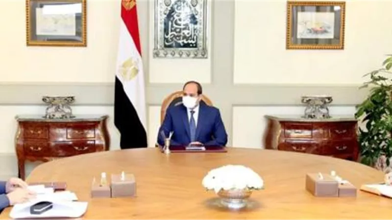 عاجل.. السيسي يطالب الحكومة بالاستعداد للموجة الثانية من فيروس كورونا