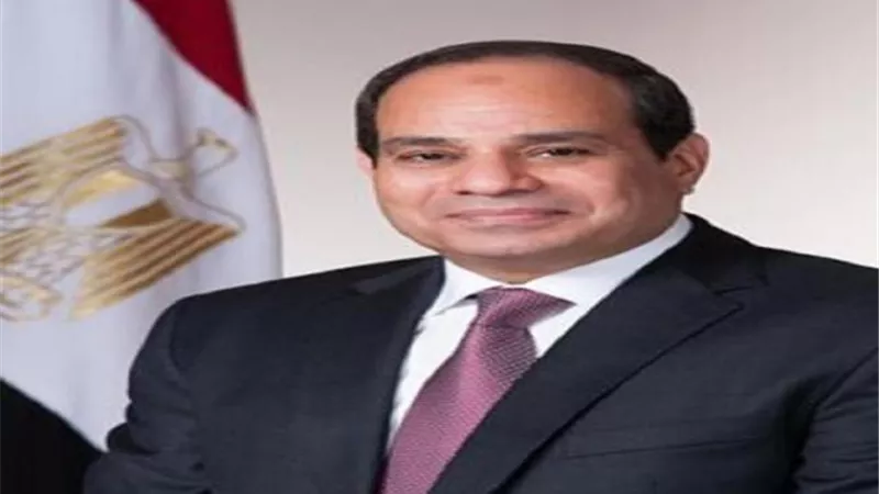 وزير الخارجية الأرمنى يدعو الرئيس السيسي لزيارة أرمينيا
