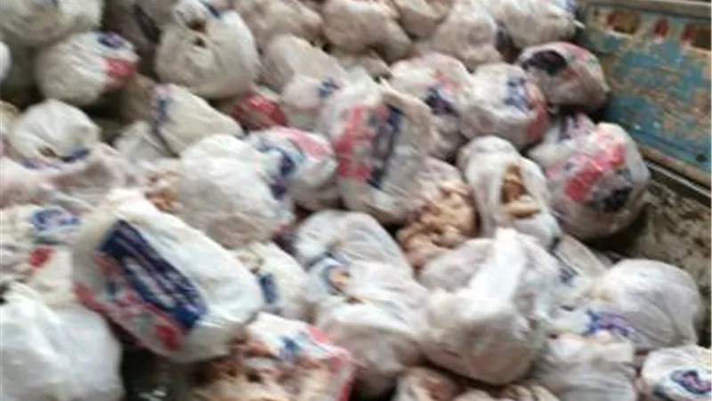 فيديو صادم.. «الجيزة» تضبط 210 كجم دواجن ومشتقاتها فاسدة بمحل شهير بحدائق الأهرام