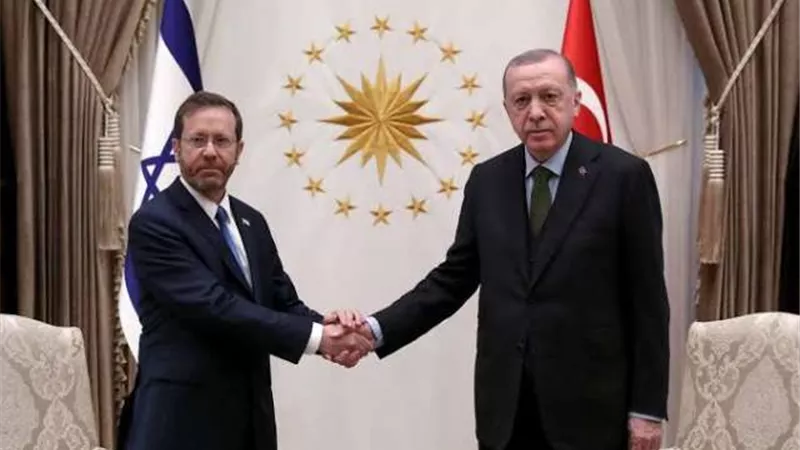تفاصيل لقاء رئيس إسرائيل وأردوغان لبحث تهديدات إيران باستهداف المواطنين