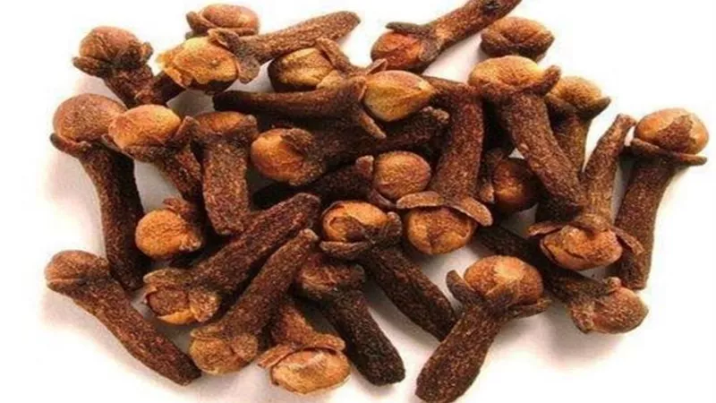 5 أخطار للقرنفل.. تعرف عليها