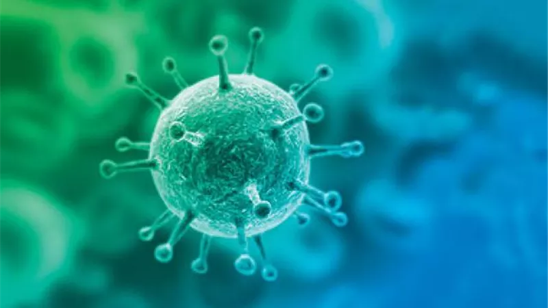 البروسيلا الصيني.. منظمة الصحة العالمية تحذر من وباء فتاك أخطر من كورونا