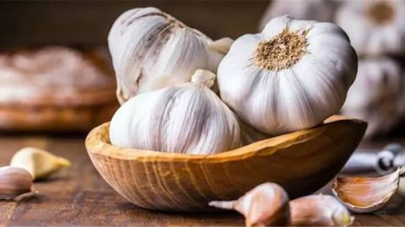 تقوية الجهاز المناعي.. تعرف علي فوائد تناول الثوم