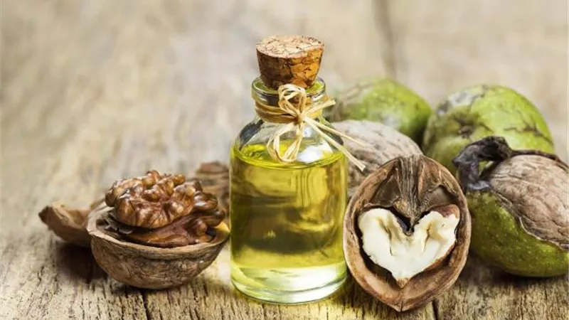 زيت جوزة الطيب.. الحل السحري لعلاج هذه الأمراض
