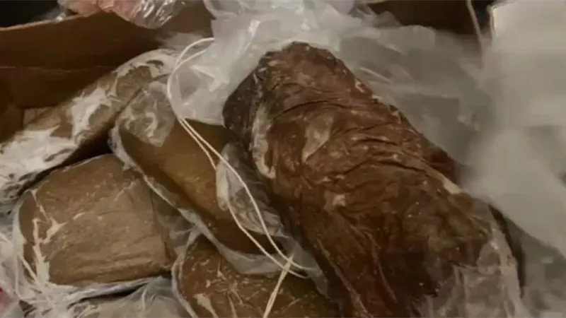 منها بسطرمة ولانشون.. «الجيزة» تضبط سلع تموينية وغذائية غير صالحة للاستهلاك الآدمي