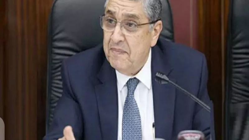 وزير الكهرباء ياتقي المدير الإقليمي لشركة FFI الاسترالية لبحث سبل دعم وتعزيز التعاون