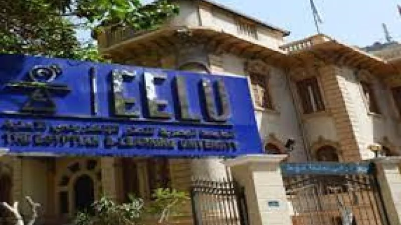 بدء أعمال تنسيق القبول بالجامعة المصرية للتعلم الإلكتروني الأهلية