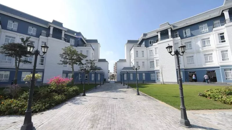 جامعة سيناء تعلن منحة خاصة لأبناء أعضاء هيئة التدريس بالجامعات والمراكز البحثية المصرية