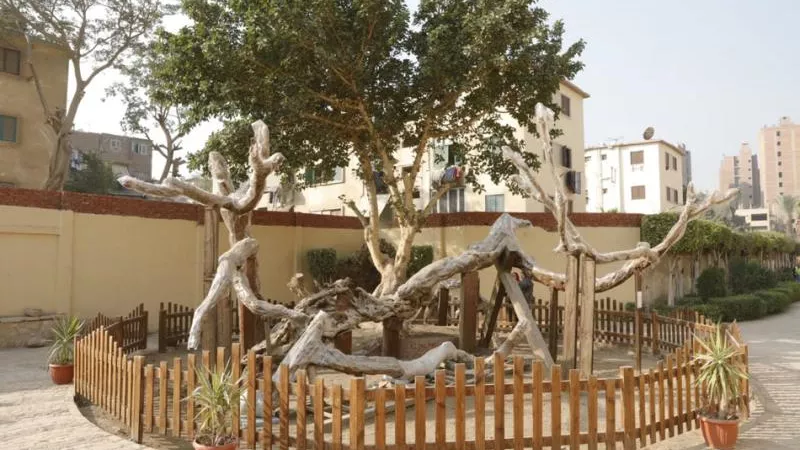 شجرة مريم.. كل ما تُريد معرفته عن مزار العائلة المقدسة في المطرية
