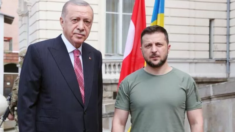 تفاصيل لقاء أردوغان وزيلينسكي بشأن إرسال الحبوب إلى دول إفريقية