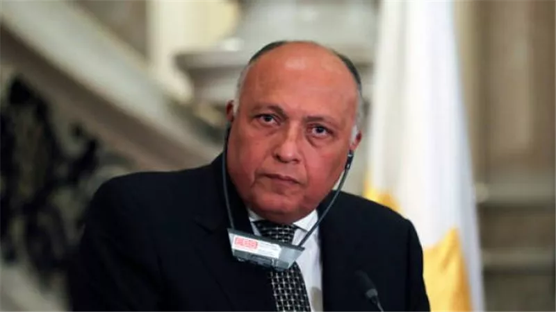 عاجل.. نص شكوي مصر ضد أثيوبيا في مجلس الأمن