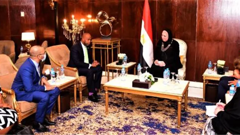 وزيرة التجارة والصناعة: الاعداد لعقد اجتماع وزراء التجارة الافارقة الشهر المقبل
