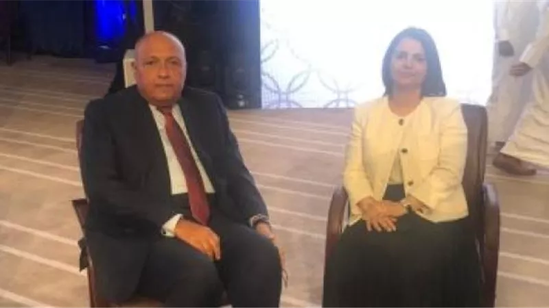 تفاصيل مباحثات شكرى مع وزيرة خارجية ليبيا