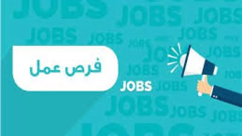 753 وظيفة.. «القوى العاملة» تعلن فرص عمل برواتب تصل إلى 4000 جنيه