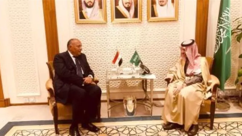 شكري يلتقي نظيره السعودى قبل بدء اجتماع لجنة التشاور السياسي المصرية السعودية