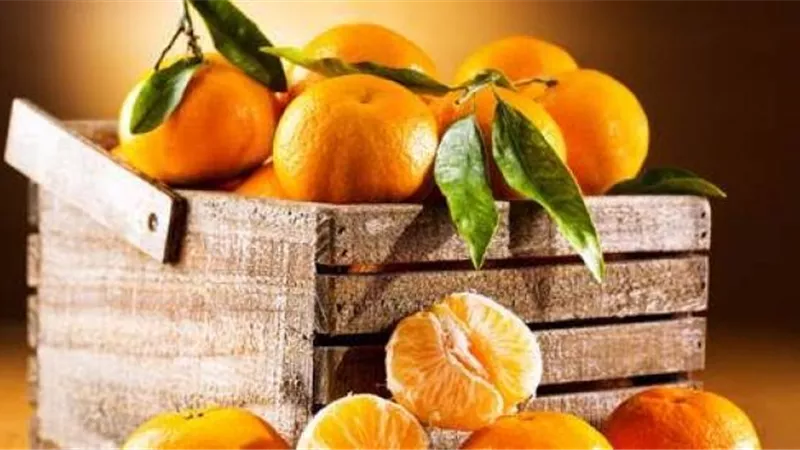 10 نصائح لتجنب الإصابة بالأمراض في الشتاء