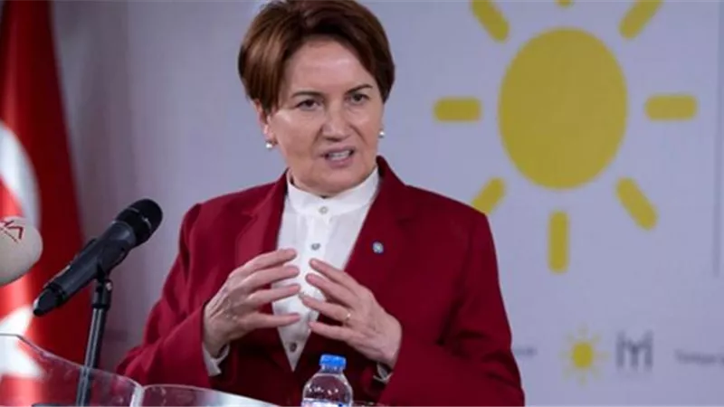 أردوغان يعتقل مستشار المرأة الحديدية بسبب مقالة نشرها منذ 5 سنوات