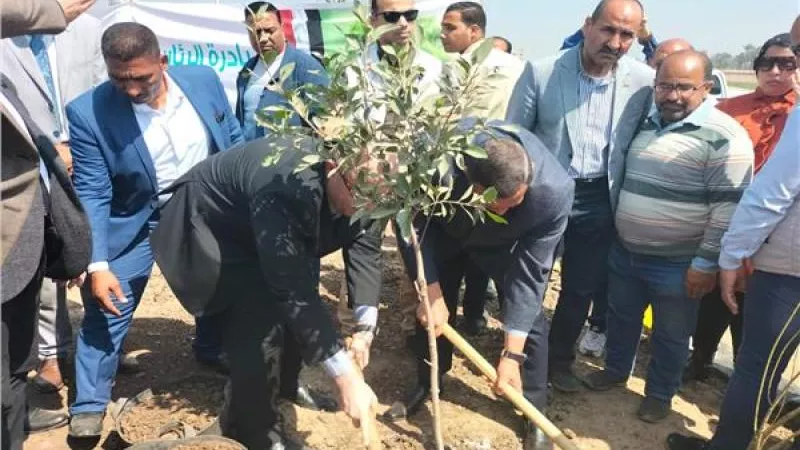 وزير التنمية المحلية ومحافظ بني سويف يتفقدان أعمال مبادرة «100 مليون شجرة»