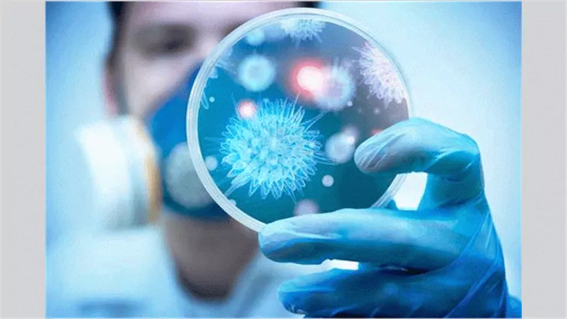 البرازيل تتخطى الـ 150 ألف حالة وفاة بكورونا في 7 شهور