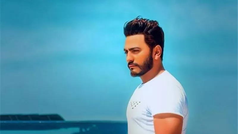 لهذا السبب طلب تامر حسني من ابنة ماجد المصري الصعود معه على المسرح