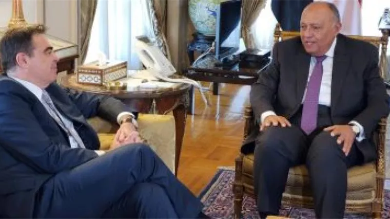 شكري يبحث مع نائب رئيسة المفوضية الأوروبية تعزيز الأمن الغذائى