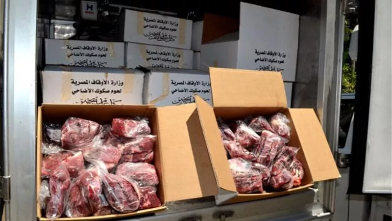 الأوقاف : توزيع 1045 طن لحوم صكوك الأضاحى بالمحافظات حتى الآن