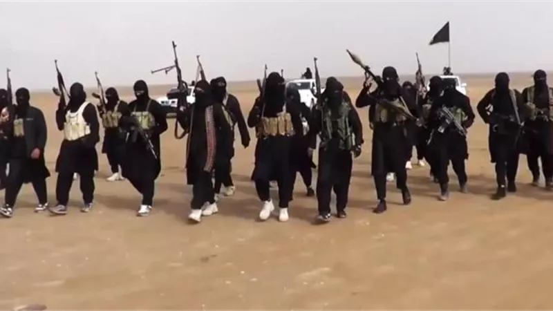 مرصد الأزهر يكشف الدور الخفي لـ”الذئاب المنفردة” و”خلايا التماسيح ” في داعش