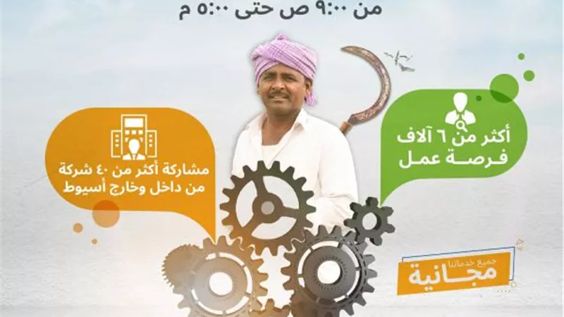 6 ألاف فرصة عمل.. « القوى العاملة » تفتتح ملتقى توظيف للشباب بعد غد الاثنين