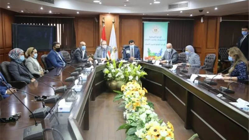 منسق الأمم المتحدة يعلق علي الاستعانه بـ”الكيك بوكسينج”ضد التحرش في مصر